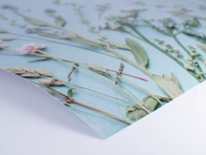 Matt Gedrucktes Fotoposter Mit Floraler Illustration Auf Hellblauem Hintergrund – Druckerei Hemmersbach