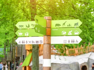 Grüner Wegweiser Im Zoo Mit Piktogrammen Zu Verschiedenen Tiergehegen, Aquarium, Shop Und Serviceeinrichtungen – Druckerei Hemmersbach