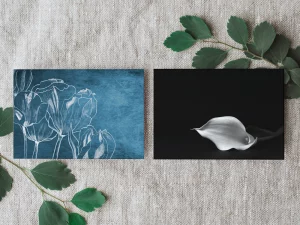 Zwei Kunstpostkarten Auf Stoffhintergrund, Links Mit Blauen Tulpenillustrationen, Rechts Mit Schwarzem Hintergrund Und Weißer Blüte – Druckerei Hemmersbach
